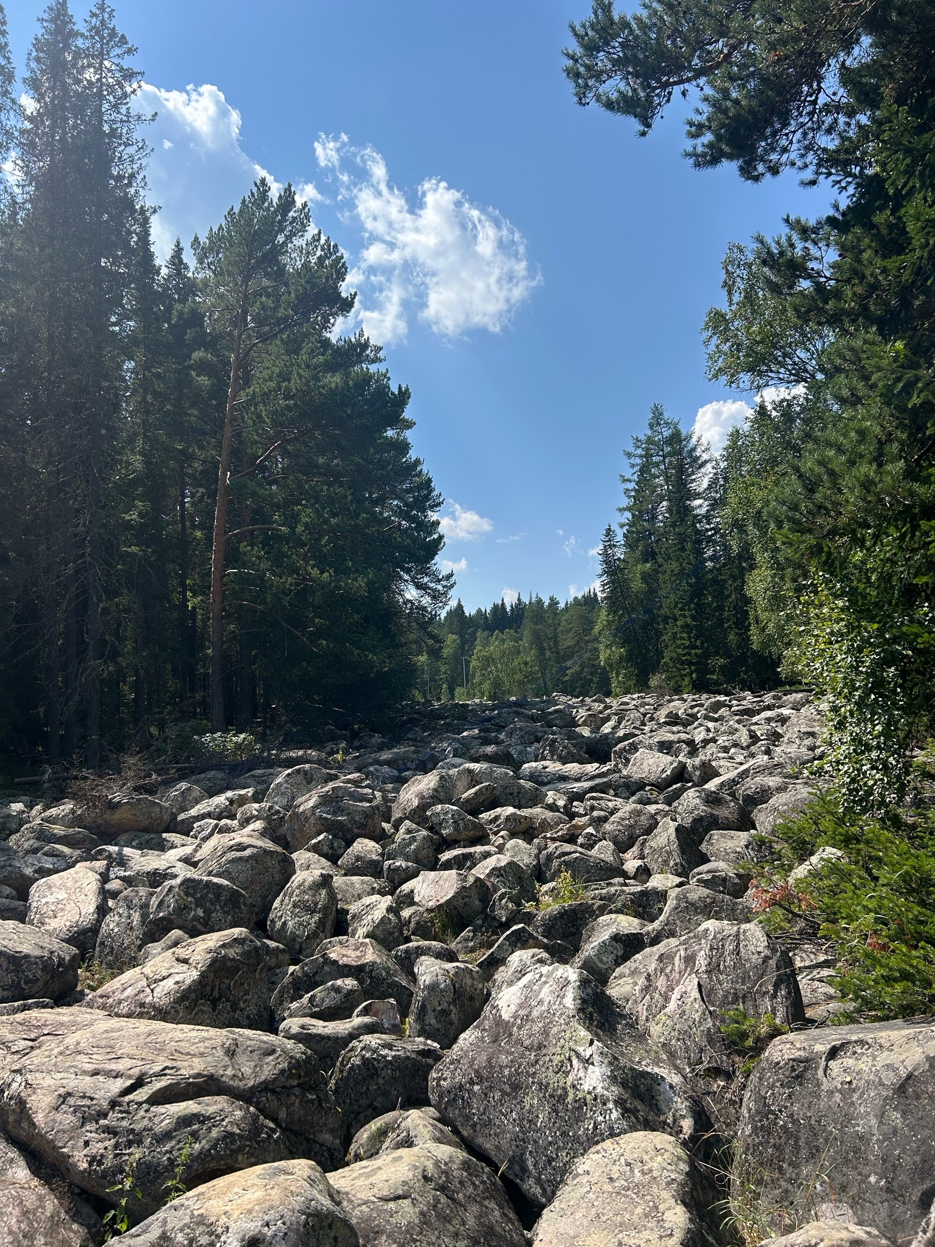 Пейзаж с камнями и лесом